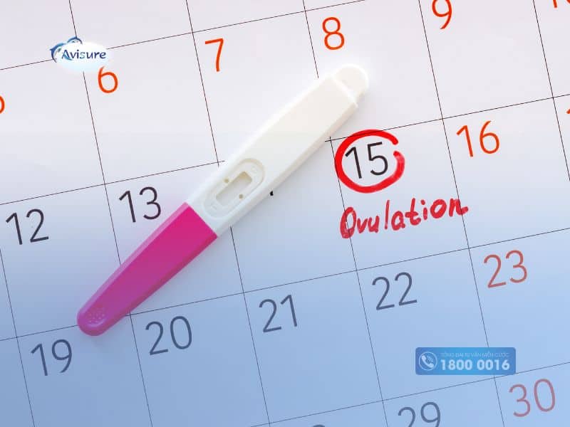 Bí quyết canh ngày rụng trứng để sinh con trai